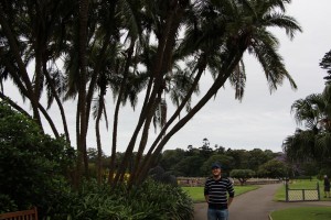 Royal Botanic Garden, Palmen und Nico