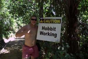Hobbit Working
