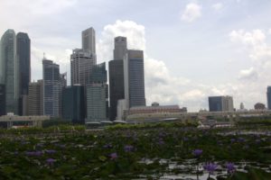 Singapur_Blumenpracht in der Stadt